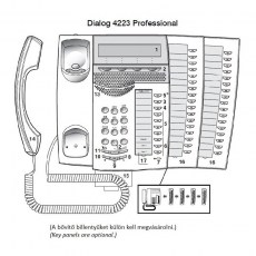 mitel_mivoice_4223_4