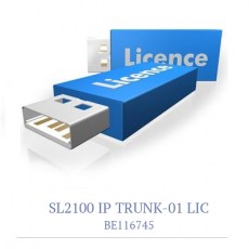 NEC SL2100 VoIP licences